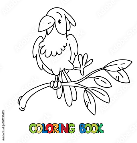 Parrot. Little funny bird. Coloring book