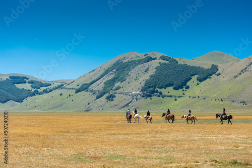 CASTELLUCCIO DI NORCIA, ITALY, 26 AUGUST 2021 Horses in the valley of Umbria