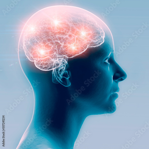 Synapse connections. Structure that permits a neuron to pass an electrical or chemical signal to another neuron or to the target efferent cell. Nervous system. Brain. Side view, face, head.