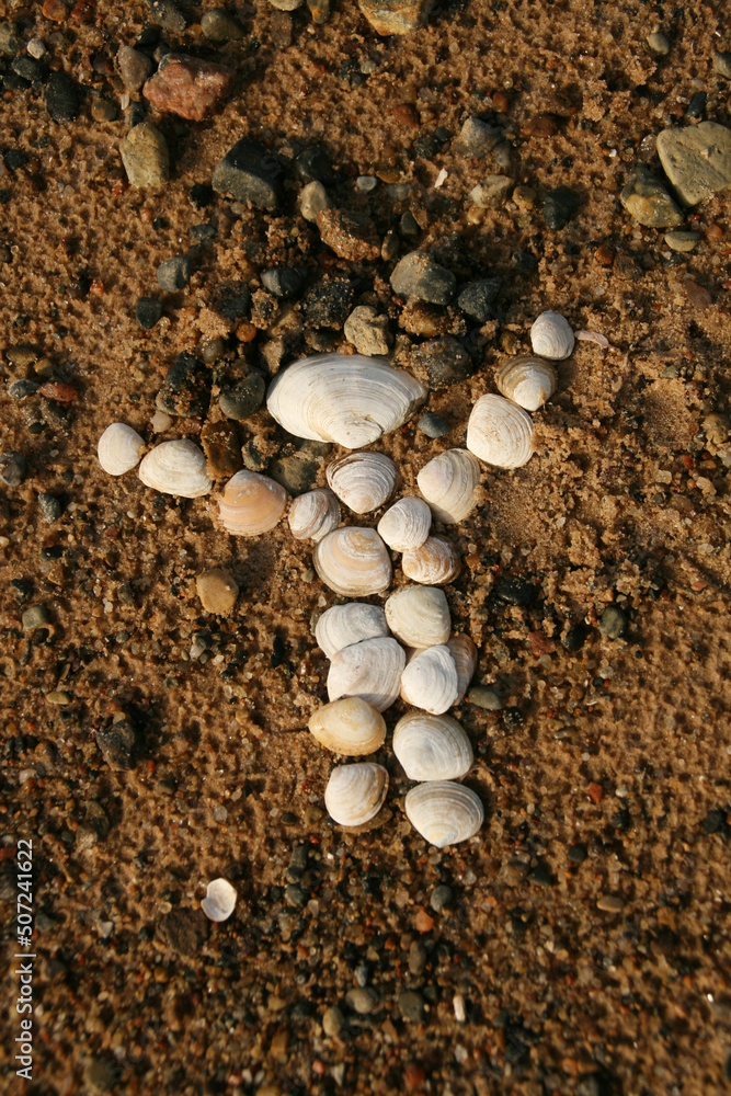 A little man figure made of sand and shells on the sea beach. Latvia, Baltic, Golf of Riga. Copy Space A little man figure made of sand and shells on the sea beach. Latvia, Baltic, Golf of Riga. Copy Space