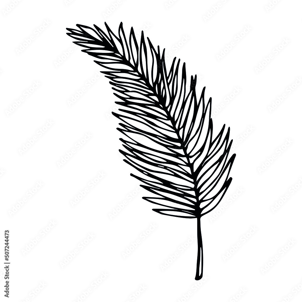 Fototapeta premium Simple tropical leaf illustration. Hand drawn vector clipart. Botanical doodle for print, web, design, decor, logo.