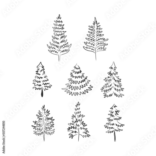 Xmas tree spruce pine fir linear sketchy drawing vector illustration set isolated on white. Vintage winter forest festive holiday season print collection for Christmas decor and card making.
