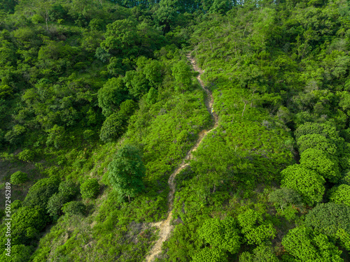 Fototapeta Naklejka Na Ścianę i Meble -  Aerial view of woman hiker hiking on tropical forest trail