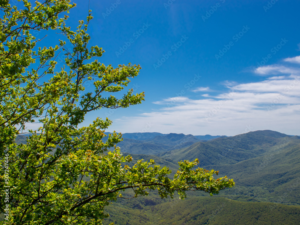 Obraz premium panorama of a beautiful mountainous area. sunny in the afternoon. beautiful spring landscape in the mountains.