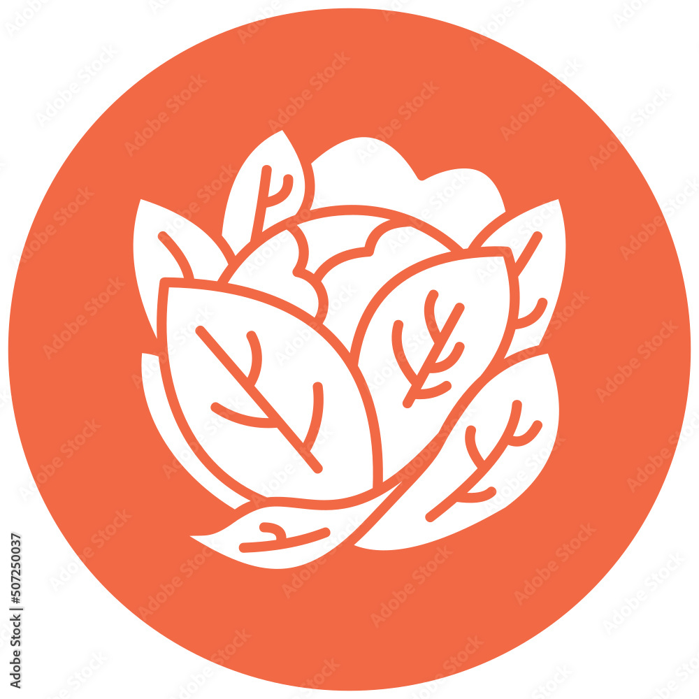Cabbage Icon Cabbage Icon