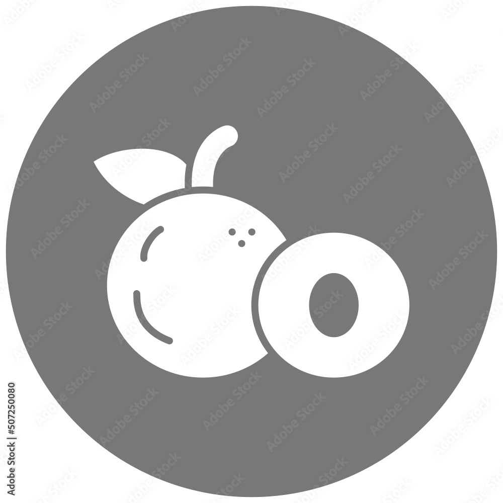 Longan Icon Longan Icon