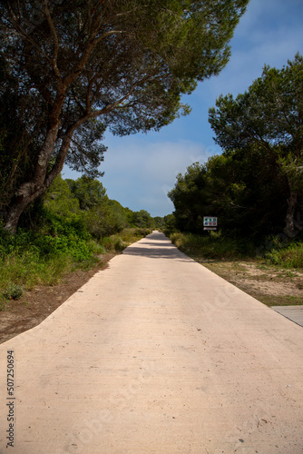 One of the walks through the protected area of l' Albufera of Valencia