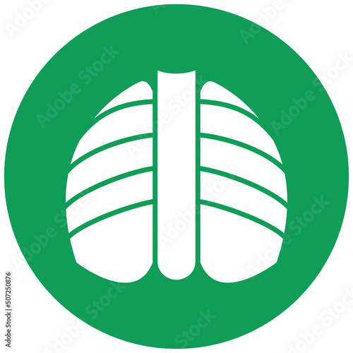 X-ray Icon