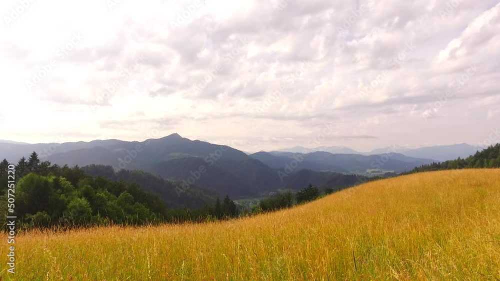 Pastures in the hills and meadows. Pastures in the hills and meadows.