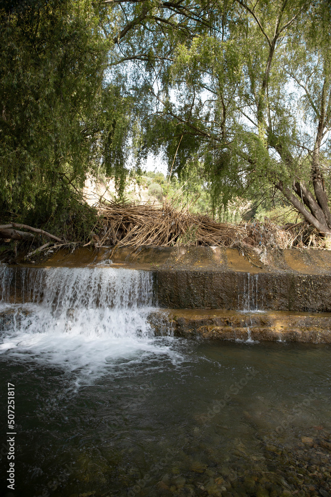 Obraz premium River with trees, trunks and branches after a flood