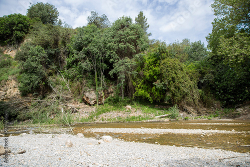 River with trees, trunks and branches after a flood