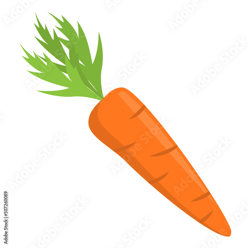carrot with leaves isolated on white background, flat design vector illustration