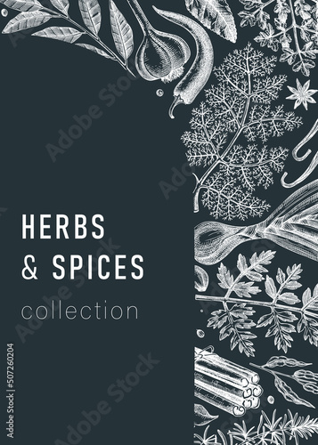 Hand-drawn herbs and spices vector card on chalkboard. Hand-sketched food illustration. Aromatic plant drawings. Kitchen herbs and spice frame template in sketched style for packaging, menu, banners