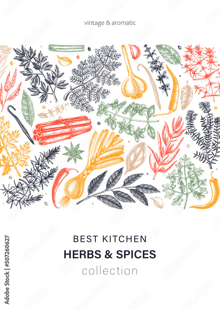 Vecteur Stock Hand-drawn herbs and spices vector card in color. Hand ...