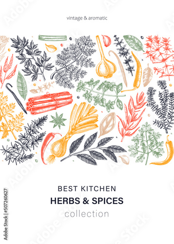 Hand-drawn herbs and spices vector card in color. Hand-sketched food illustration. Aromatic plant drawings. Kitchen herbs and spice frame template in sketched style for packaging, menu, banners