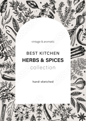 Hand-drawn herbs and spices vintage card. Hand-sketched food vector illustration. Aromatic plant drawings. Kitchen herbs and spice frame arc template in sketched style for invitation, menu, banners