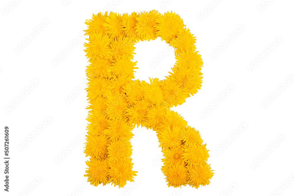 The English alphabet of dandelion flowers. Letter R