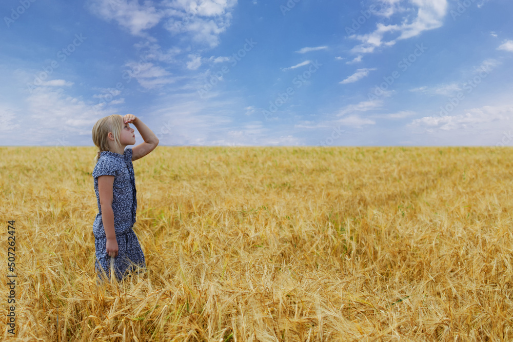Cute child girl on golden wheat field against blue sky Cute child girl on golden wheat field against blue sky