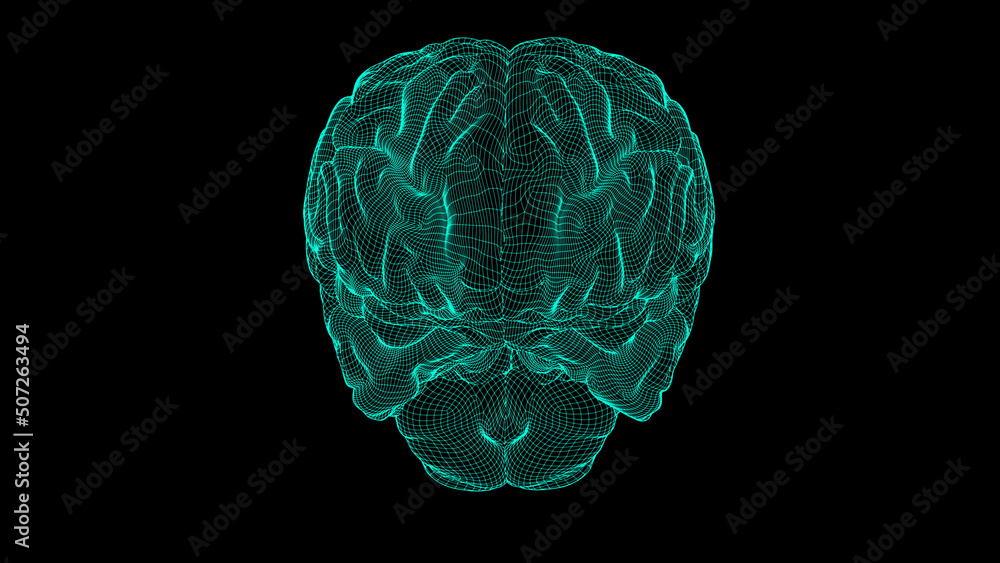 Wireframe brain 3D Wireframe brain 3D