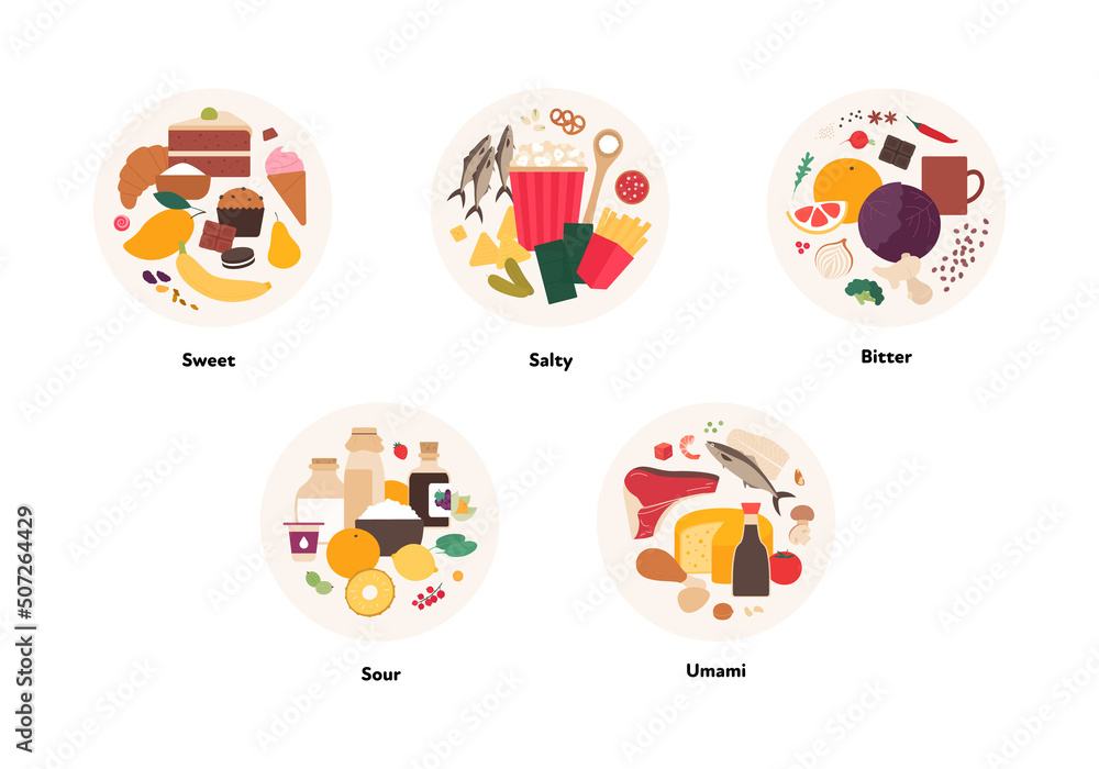 Human five taste infographic. Vector flat modern illustration. Sweet, umami, sour, salty, bitter product icon group set in circle frame isolated on white background.