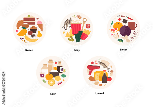 Human five taste infographic. Vector flat modern illustration. Sweet, umami, sour, salty, bitter product icon group set in circle frame isolated on white background. © tasty_cat