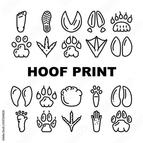 Hoof Print Animal, Bird And Human Shoe Set Vector. People Footprint And Elephant Hoof Print, Deer And Bear, Horse And Tiger, Chicken And Mouse. Mammal Sheep Paw Black Contour Illustrations