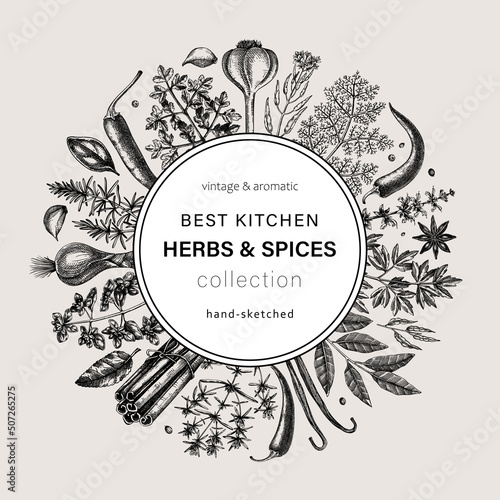 Hand-drawn herbs and spices round design. Hand-sketched food vintage wreath. Vintage aromatic plants hand-drawing. Kitchen herbs and spice frame template in sketched style for menu or banners