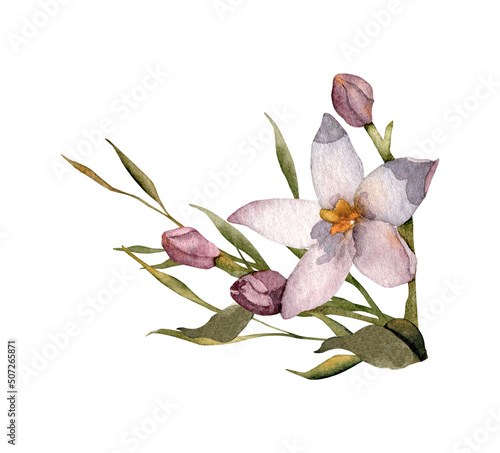 Hand-drawn watercolor pink floral arrangement with centaury buds wildflower. Summer flower bouquet for greeting cards design, wedding invitations, decor isolated on white background