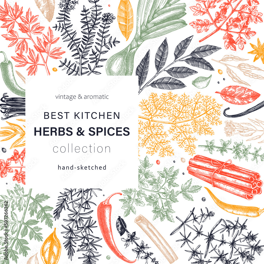 Hand drawn Herbs And Spices Vector Design Hand sketched Food Square hand-drawn-herbs-and-spices-vector-design-hand-sketched-food-square
