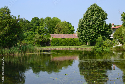 garden in the park