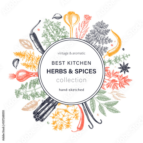 Hand-drawn herbs and spices round design. Hand-sketched food wreath in color. Vintage aromatic plants hand-drawing. Kitchen herbs and spice frame template in sketched style for menu or banners