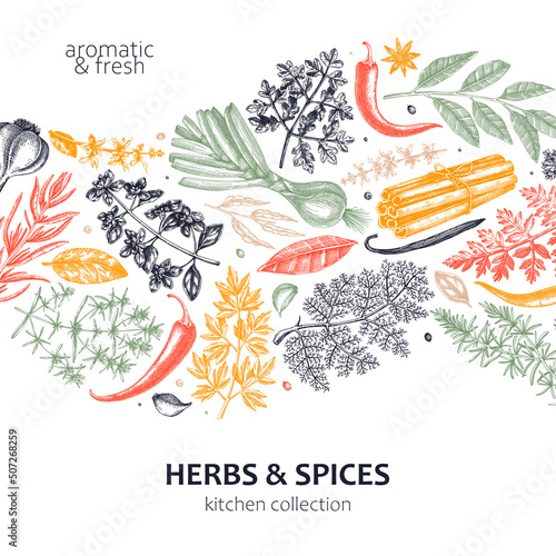 Hand-drawn herbs and spices wave design. Hand-sketched food card in color. Vintage aromatic plants hand-drawing. Kitchen herbs and spice banner template in sketched style for menu or packaging