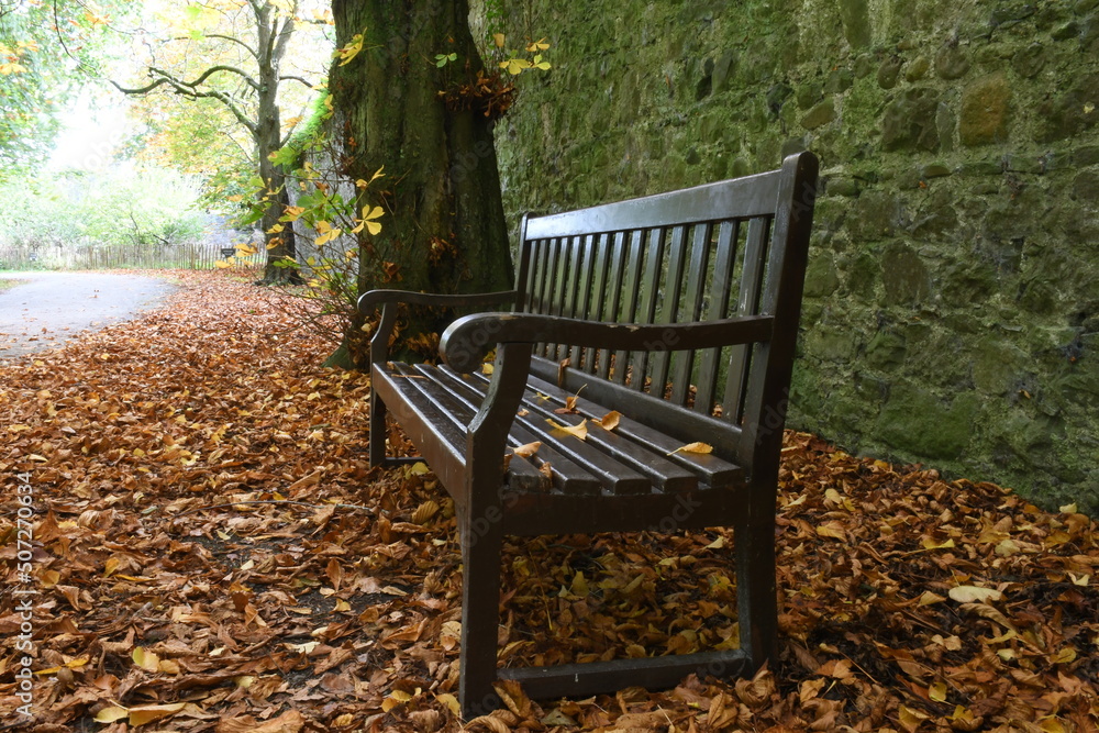 Bench in Kilkenny Castle park