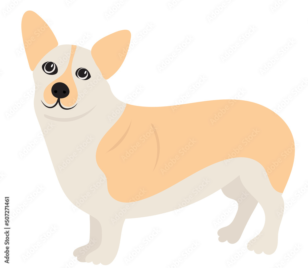 small dog in flat design isolated, vector