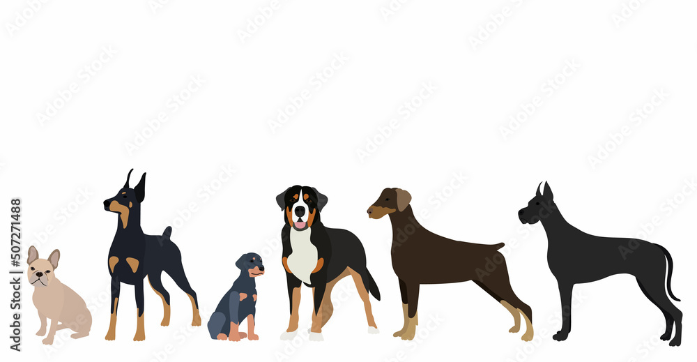 dogs of different breeds in flat design isolated, vector