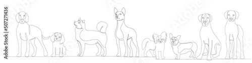 dogs drawing in one continuous line, sketch, isolated, vector