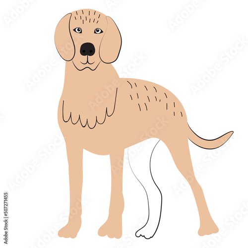 dog doodle  sketch  outline isolated  vector