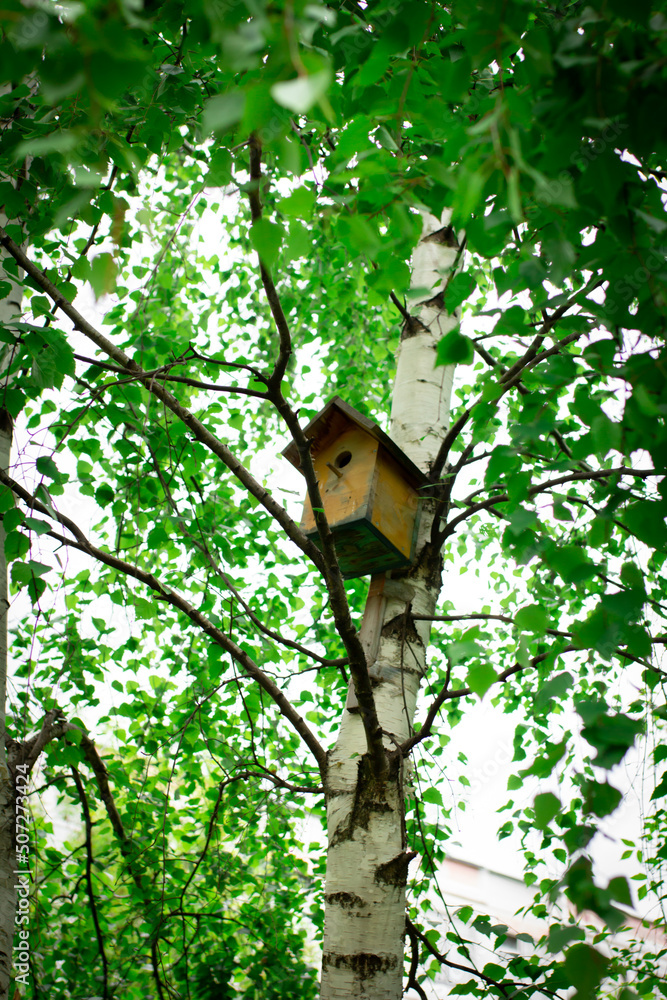 Birdhouse nailed to a tree, caring for wild birds Birdhouse nailed to a tree, caring for wild birds