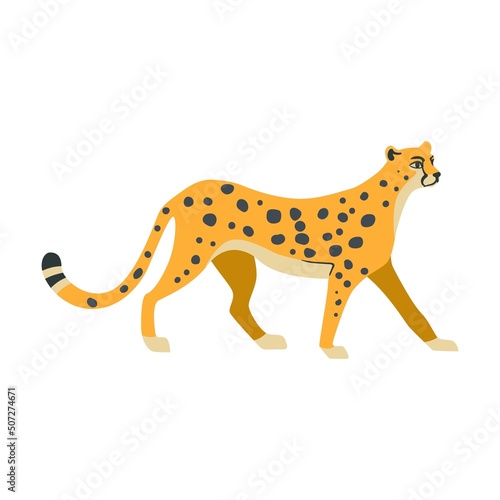 African cheetahs cartoon illustration. Leopards or jaguars with tropical leaves and plants isolated on white