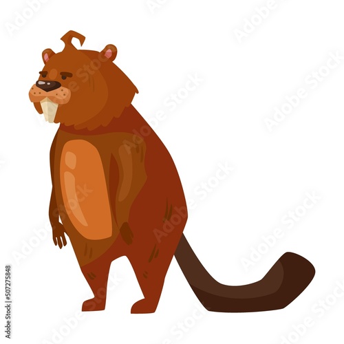 Beaver illustration. Cute rodent with saw, meter ruler and hummer gnawing wood, sitting in lotus pose on white background