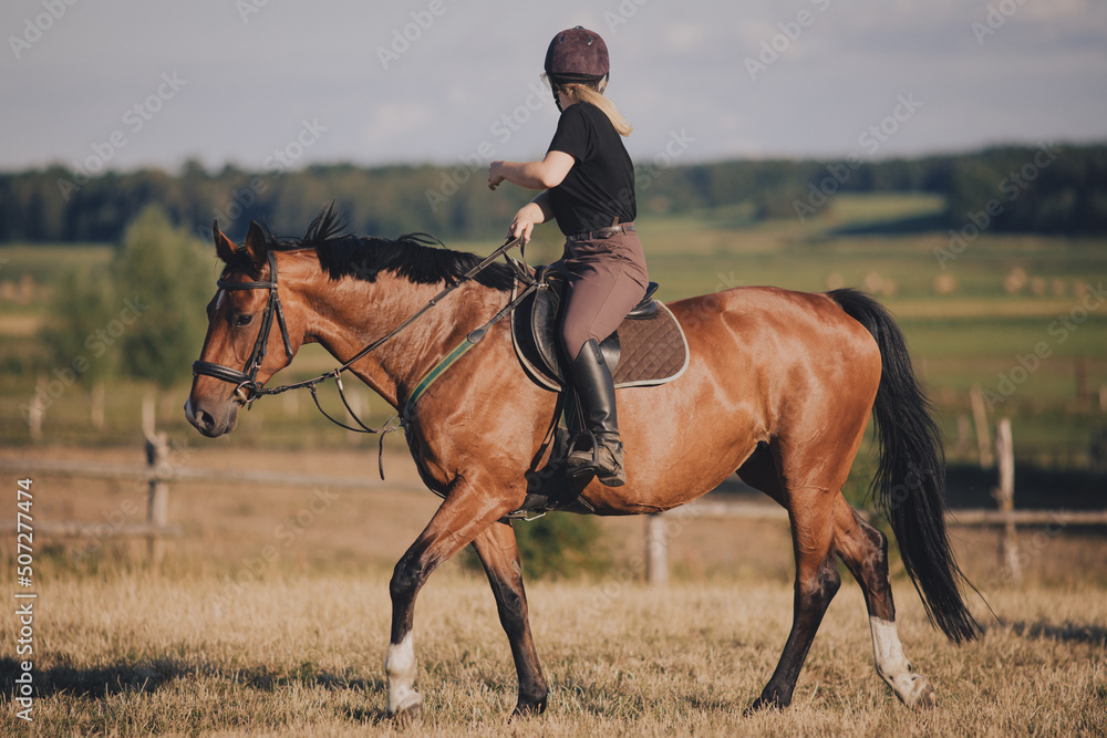 Uśmiechnięta dziewczyna jeździec konny na koniu na letnim polu  - obrazy, fototapety, plakaty 
