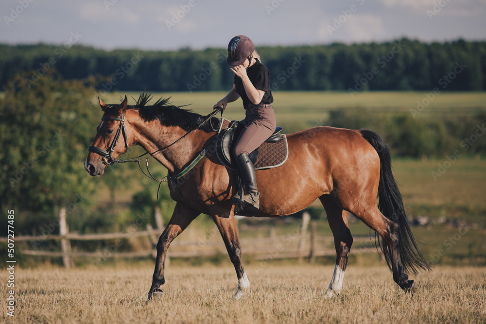 Uśmiechnięta dziewczyna jeździec konny na koniu na letnim polu  - obrazy, fototapety, plakaty 