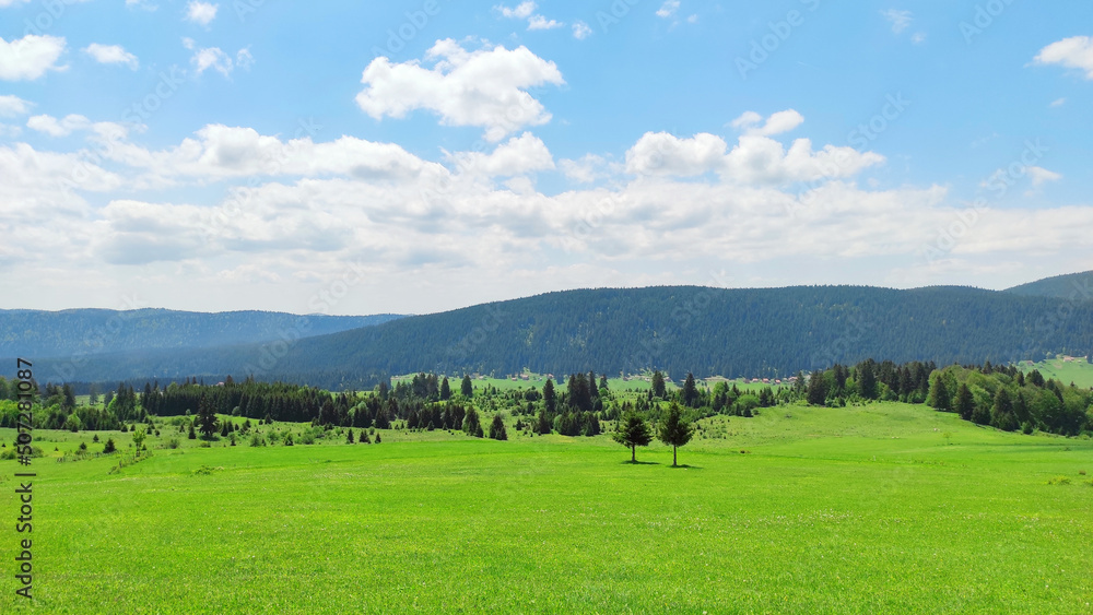 Mountain landscape, green meadow and forest Mountain landscape, green meadow and forest