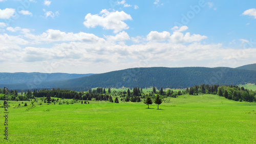 Mountain landscape, green meadow and forest 