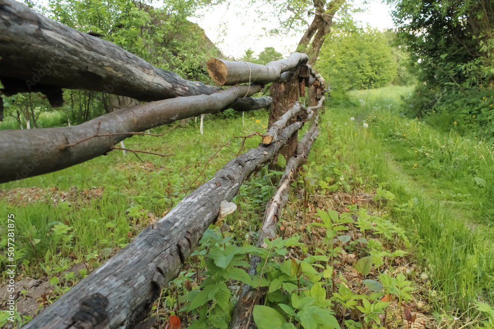Rustic log fence along the road. Green grass. Rural atmosphere, vintage shot. Old fence close up. Selective focus. Rustic log fence along the road. Green grass. Rural atmosphere, vintage shot. Old fence close up. Selective focus.