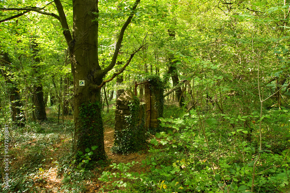 Reste einer Mauer und des Tors eines historischen Weingutes aus dem 19. Jahrhundert hoch über Kleinblittersdorf im Saarland