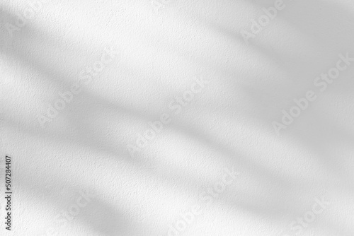 Abstract light shadow of leaf blurred background. Natural diagonal leaves tree branch shadows and sunlight on wall. Shadow overlay effect