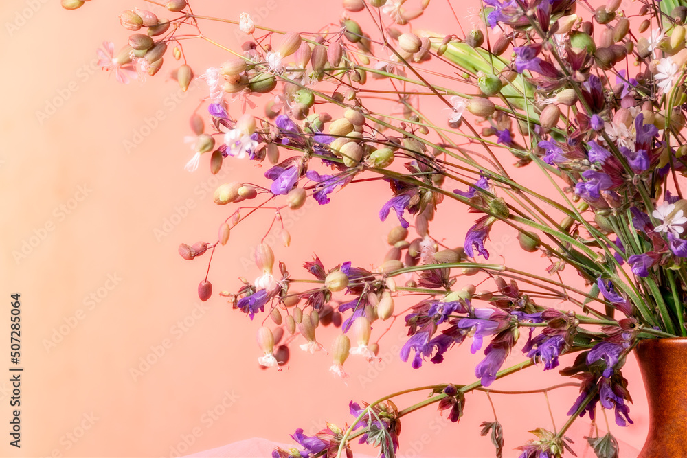Still life with blossom sage and wildflowers in pink tones Still life with blossom sage and wildflowers in pink tones