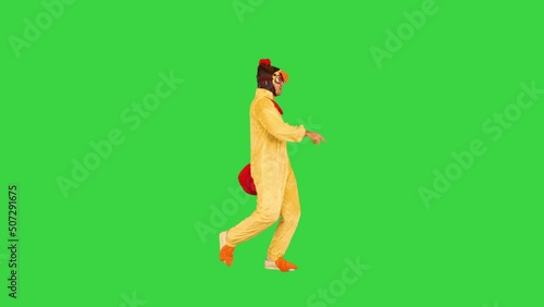 Caucasian guy in chicken costume performs fiery dance on a Green Screen, Chroma Key.