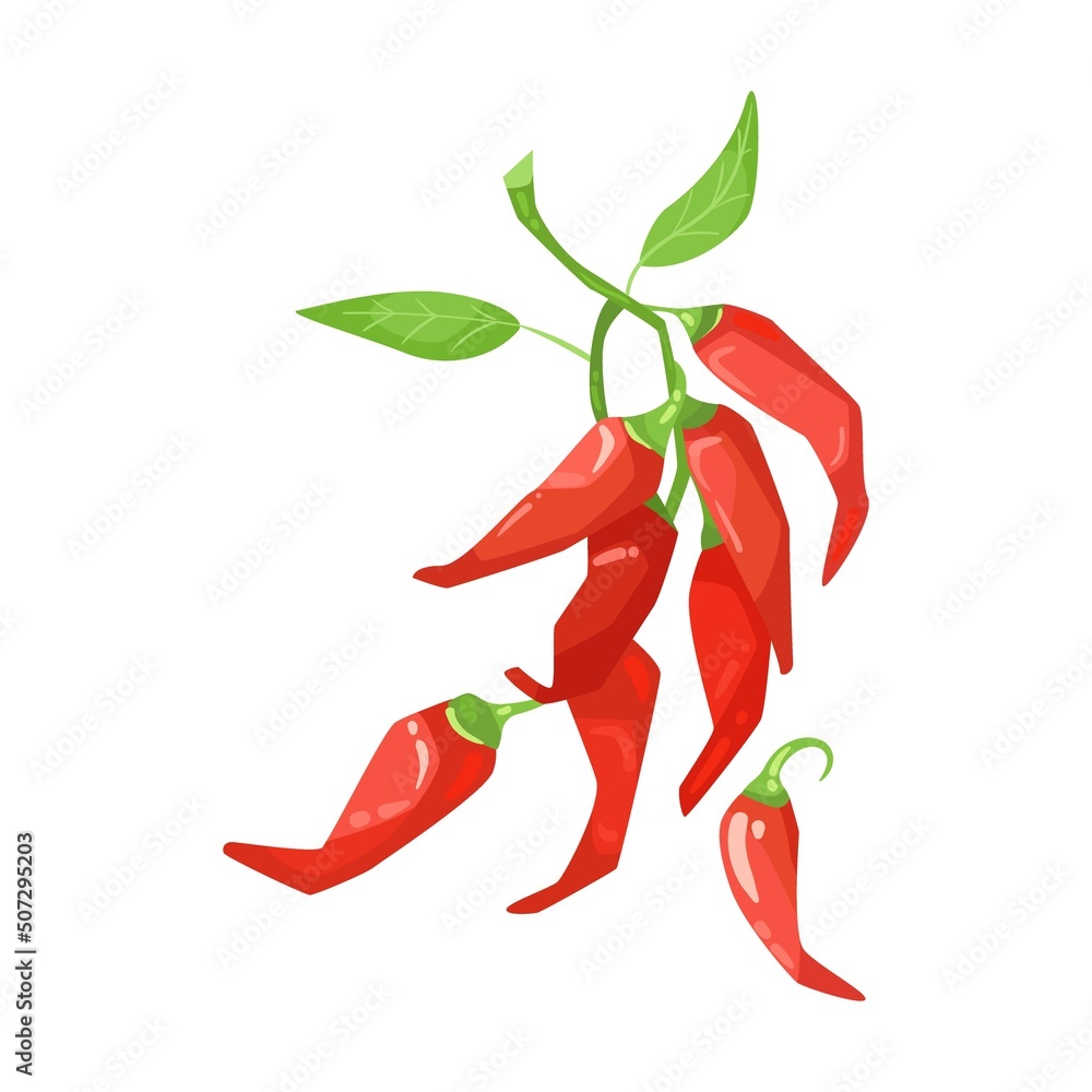 Red hot chili pepper cartoon illustration. Pickled peppers in glass jar